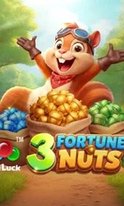 3 Fortune Nuts
